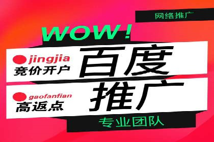 百度推广优化策略：成功案例解析